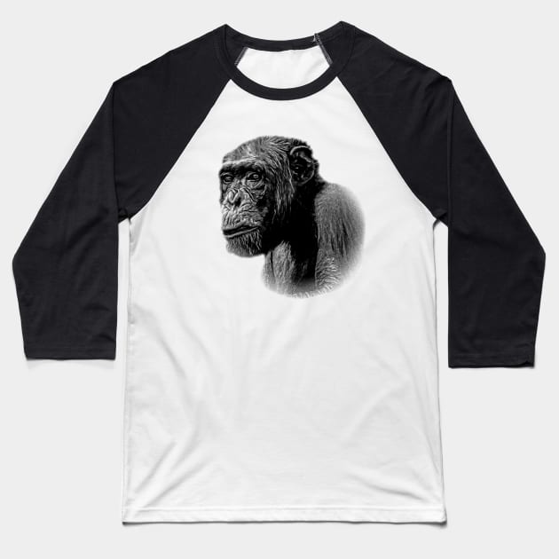 Chimpanzee Baseball T-Shirt by Guardi